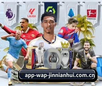 app-wap-jinnianhui.com.cn APP
